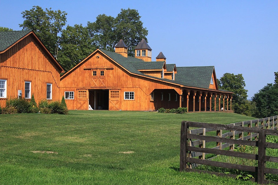 Horse Yards To Rent